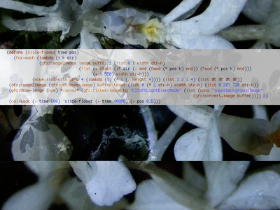 Slice-Flower: A computational art work