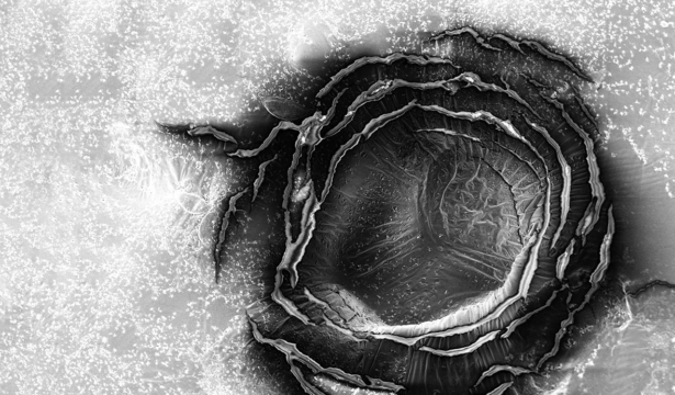 The Unseen Water: The Transmigration of Scientific Photography into the Domain of Art through Experimentation with the Scanning Electron Microscope